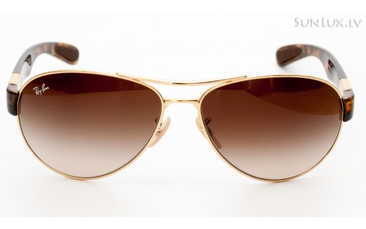 Ray-Ban Active Lifestyle Aviator (RB3509 001/13 63mm) saules brilles